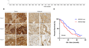 current research on cancer