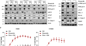 new research lung cancer