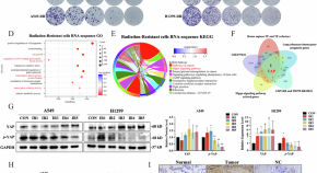 news articles on cancer research