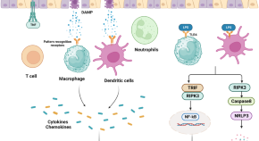 latest research paper on cancer