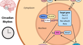 cell biology assignment topics