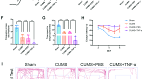 latest research on depression treatment