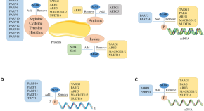 molecular biology research topics for undergraduates