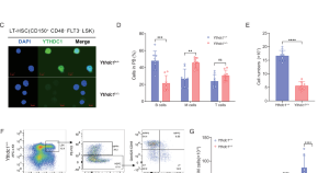 article about stem cell research article about stem cell research