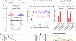 research article news