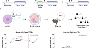 research on genetic memory