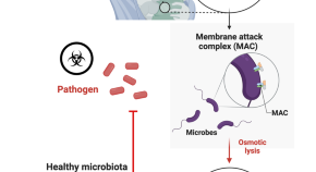 bioinformatics project ideas