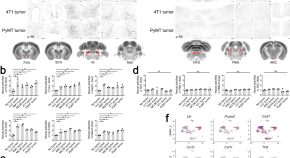 cell structure research paper