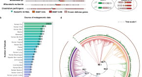 cell structure research paper