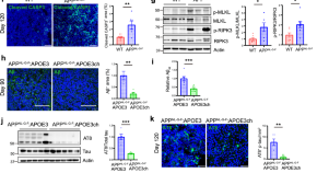 molecular biology dissertation topics