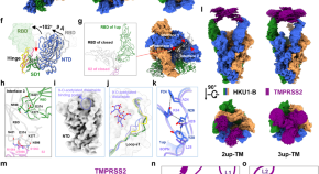 cell structure research paper