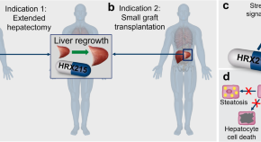 latest research paper on cancer