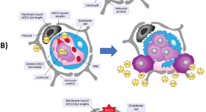 research topics in ophthalmology