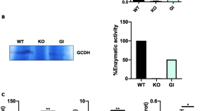 research on gene therapy