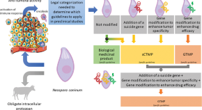 research on gene therapy