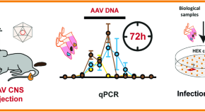 essay on gene therapy