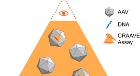 research on gene therapy research on gene therapy
