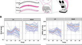 new research on mapping