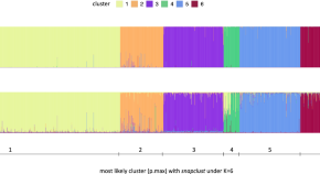 research topics in evolutionary biology