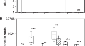 recent research topics in horticulture