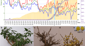 recent research topics in horticulture