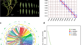 recent research topics in horticulture