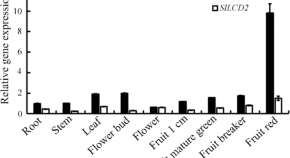 recent research topics in horticulture