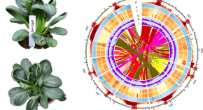 recent research topics in horticulture