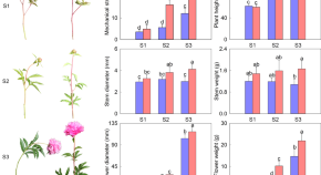 recent research topics in horticulture