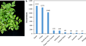 horticulture research