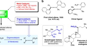 essay on nobel prize in chemistry