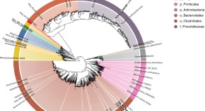 latest research on life sciences