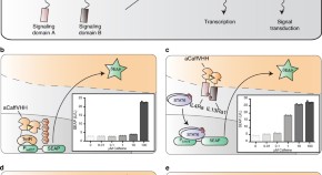 latest research in life sciences