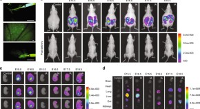 latest research in life sciences