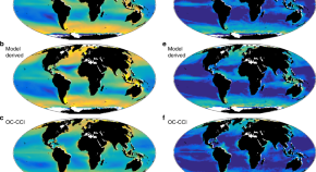 environmental science research title example