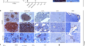 primary research article biology