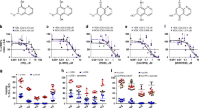 research on malaria diagnosis