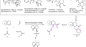 essay on nobel prize in chemistry