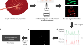 research article about