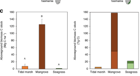 environmental science research title example