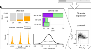 primary research article biology