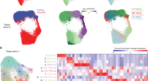 research article about