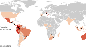 environmental science research title example