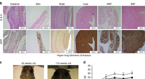 primary research article biology