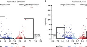 research on malaria diagnosis