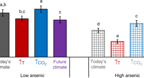 environmental science research title example