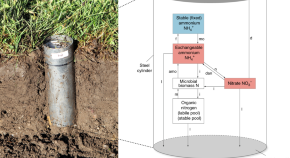 environmental science research title example