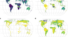 environmental science research title example