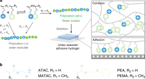 interesting chemistry research articles