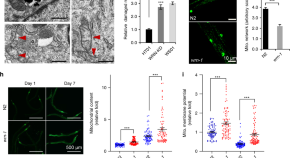 research article about